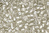 Matubo Seed Bead 6/0 (loose) : Crystal - Silver-Lined