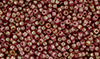 Matubo Seed Bead 11/0 Tube 2.5" : Luster - Transparent Rosaline