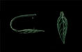 Veined Leaf Pinch Bail 20/6mm : Gun Metal