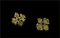 Leafy Bead Cap 11mm : Antique Brass