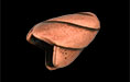 Cone 13/9mm : Antique Copper