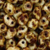SuperDuo 2/5mm (loose) : Opaque White - Picasso