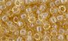 Matubo Seed Bead 7/0 (loose) : Luster - Transparent Champagne