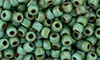 Matubo Seed Bead 7/0 (loose) : Green Turquoise - Picasso