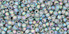 Round 11/0 Tube 2.5" : Transparent-Rainbow-Frosted Gray