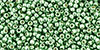 TOHO - Round 15/0 : PermaFinish - Galvanized Mint Green