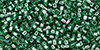 TOHO - Treasure #1 (11/0) : Transparent Silver-Lined Jade