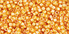 TOHO - Treasure #1 (11/0) : Inside-Color Jonquil/Burnt Orange-Lined